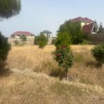 Satılır Torpaq, Koroğlu metrosu, Maştağa qəs., Sabunçu rayonu 1