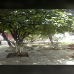 Satılır 3 otaqlı Həyət evi/villa Sumqayıt 12