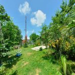 Kirayə (günlük) 4 otaqlı Həyət evi/villa İsmayıllı 11