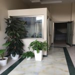 Продажа 3 комнат Новостройка, Nizami метро, Ясамал район 5