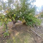 Продажа Участок, пос. Бадамдар, Сябаиль район 3