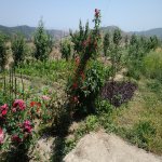 Satılır 6 otaqlı Həyət evi/villa Quba 4