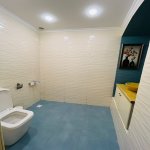 Аренда 6 комнатная Офис, м. Ичяришяхяр метро, Сябаиль район 15