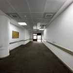 Kirayə (aylıq) 11 otaqlı Ofis, Nəsimi rayonu 11