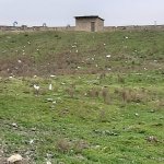 Satılır Torpaq, Masazır, Abşeron rayonu 2