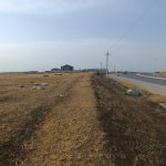 Satılır Torpaq, Saray, Abşeron rayonu 6