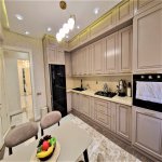 Kirayə (aylıq) 3 otaqlı Yeni Tikili, 28 May metrosu, Nəsimi rayonu 14