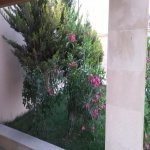 Kirayə (günlük) 4 otaqlı Bağ evi, Novxanı, Abşeron rayonu 32
