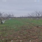 Satılır Torpaq Xaçmaz 3