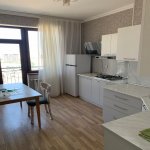Kirayə (aylıq) 1 otaqlı Yeni Tikili, 28 May metrosu, Nəsimi rayonu 11