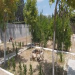 Аренда 7 комнат Дача, м. Короглу метро, пос. Нардаран, Сабунчу район 8
