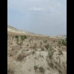 Satılır Torpaq, Pereküşkül, Abşeron rayonu 3