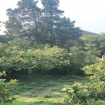 Продажа Участок, м. Ахмедли метро, Ахмедли, Хетаи район 5