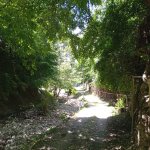 Kirayə (günlük) 4 otaqlı Bağ evi Şəki 2