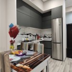 Kirayə (aylıq) 1 otaqlı Yeni Tikili, 28 May metrosu, Nəsimi rayonu 2
