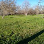 Satılır Torpaq Qəbələ 3