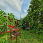 Kirayə (günlük) 3 otaqlı Həyət evi/villa İsmayıllı 5