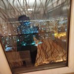 Kirayə (aylıq) 2 otaqlı Yeni Tikili, Həzi Aslanov metrosu, Xətai rayonu 10