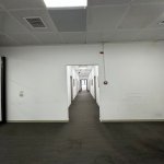Kirayə (aylıq) 11 otaqlı Ofis, Nəsimi rayonu 10