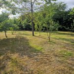 Satılır 3 otaqlı Həyət evi/villa Qəbələ 3