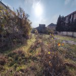 Satılır Torpaq, Novxanı, Abşeron rayonu 5