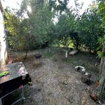 Kirayə (günlük) 4 otaqlı Həyət evi/villa Xaçmaz / Nabran 7