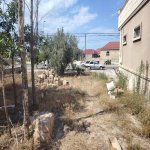 Satılır Torpaq, Saray, Abşeron rayonu 3