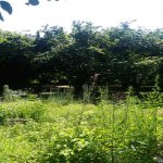 Satılır 4 otaqlı Bağ evi Oğuz 16