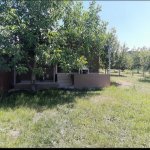 Kirayə (günlük) 2 otaqlı Bağ evi İsmayıllı 3