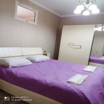 Посуточно 2 комнат Вторичка, м. 28 Мая метро, Насими район 1