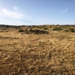 Satılır Torpaq, Novxanı, Abşeron rayonu 5