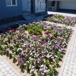 Satılır 3 otaqlı Həyət evi/villa, Koroğlu metrosu, Sabunçu rayonu 17