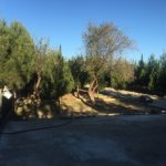 Satılır Torpaq, Mərdəkan, Xəzər rayonu 2