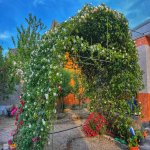 Satılır 5 otaqlı Bağ evi, Buzovna, Xəzər rayonu 20