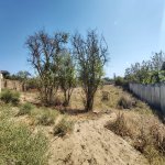 Satılır Torpaq, Novxanı, Abşeron rayonu 2