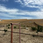 Продажа Участок, пос. Йени Сураханы, Сураханы район 2