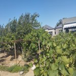 Satılır Torpaq, Ramana qəs., Sabunçu rayonu 3