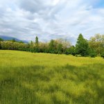 Продажа Участок Гябяля 2