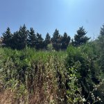 Satılır Torpaq, Mərdəkan, Xəzər rayonu 4
