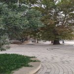 Kirayə (aylıq) 1 otaqlı Köhnə Tikili, Bayıl qəs., Bayıl parkı, Səbail rayonu 8