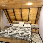 Kirayə (günlük) 4 otaqlı Həyət evi/villa Qax 11