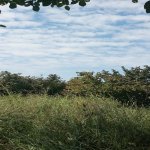 Satılır Torpaq Xaçmaz / Xudat 4