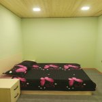 Kirayə (günlük) 4 otaqlı Bağ evi, Koroğlu metrosu, Pirşağı qəs., Sabunçu rayonu 4