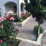 Satılır 7 otaqlı Bağ evi, Novxanı, Abşeron rayonu 22