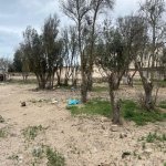 Satılır Torpaq, Şüvəlan, Xəzər rayonu 4