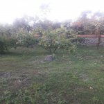 Satılır Torpaq Qəbələ 3