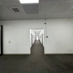 Kirayə (aylıq) 11 otaqlı Ofis, Nəsimi rayonu 10