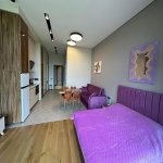 Kirayə (günlük) 1 otaqlı Yeni Tikili, Nardaran qəs., Sabunçu rayonu 5