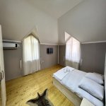 Kirayə (günlük) 7 otaqlı Bağ evi Qəbələ 7