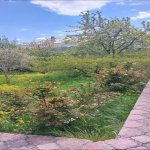 Kirayə (günlük) 2 otaqlı Həyət evi/villa Quba 6